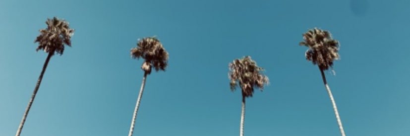 CandyAce's profile banner image