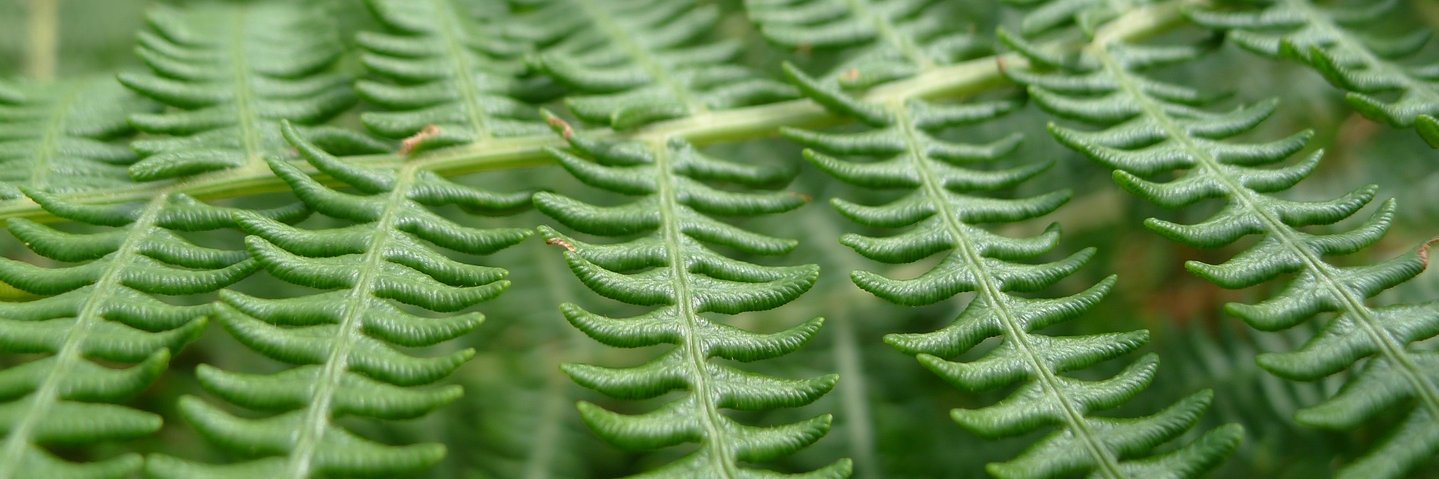 mmaiso's profile banner image