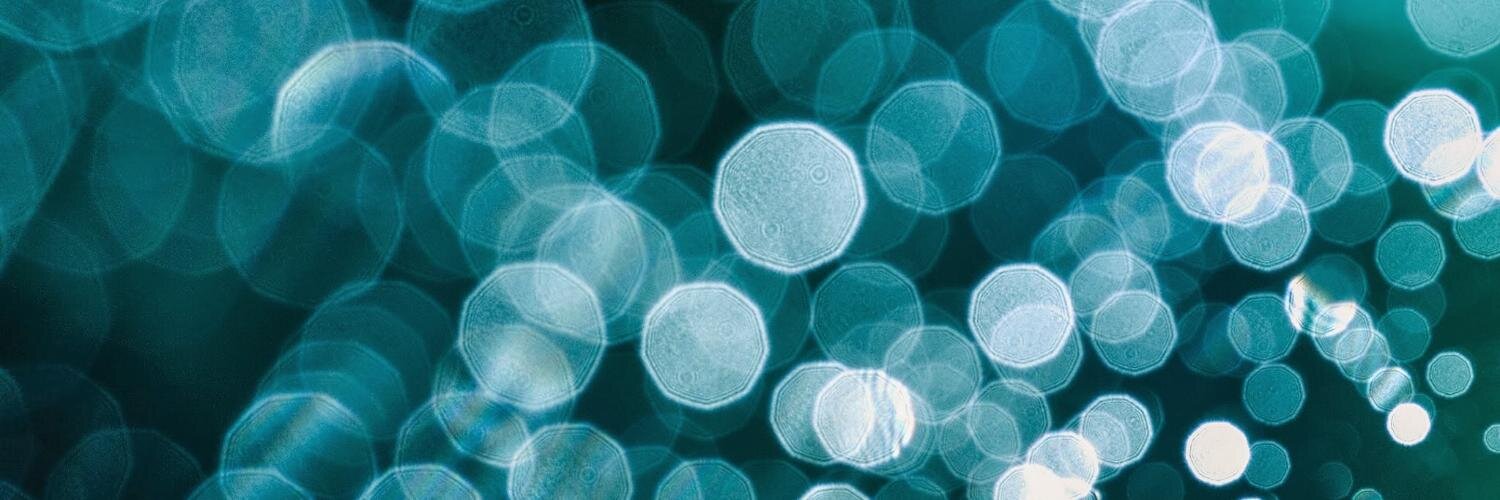 merrovingo's profile banner image