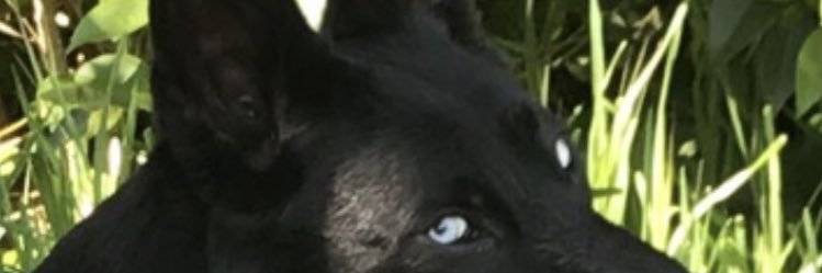 funder_jay's profile banner image