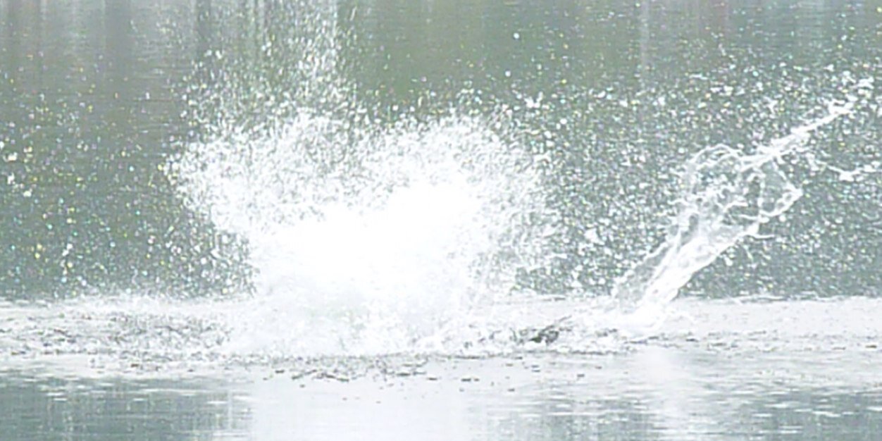 BostockMr's profile banner image