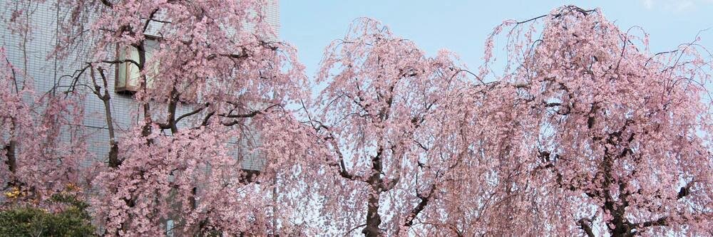 Tckw03's profile banner image