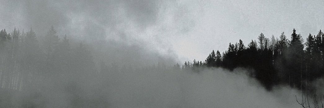 antinyokay's profile banner image