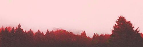 mohamed_alogman's profile banner image