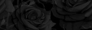 Message_for_823's profile banner image