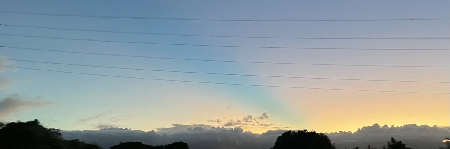 96_mii's profile banner image