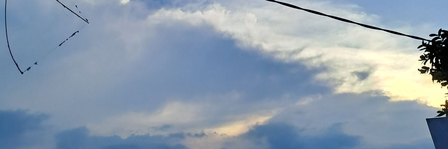 reniamallia's profile banner image