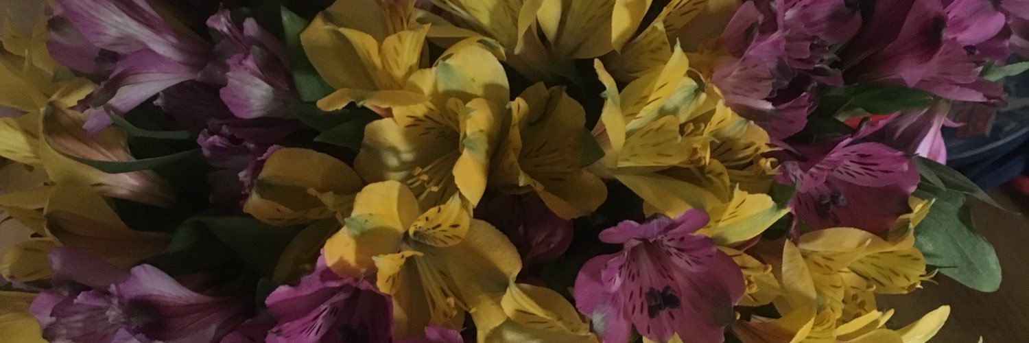 Gemma_Outram's profile banner image