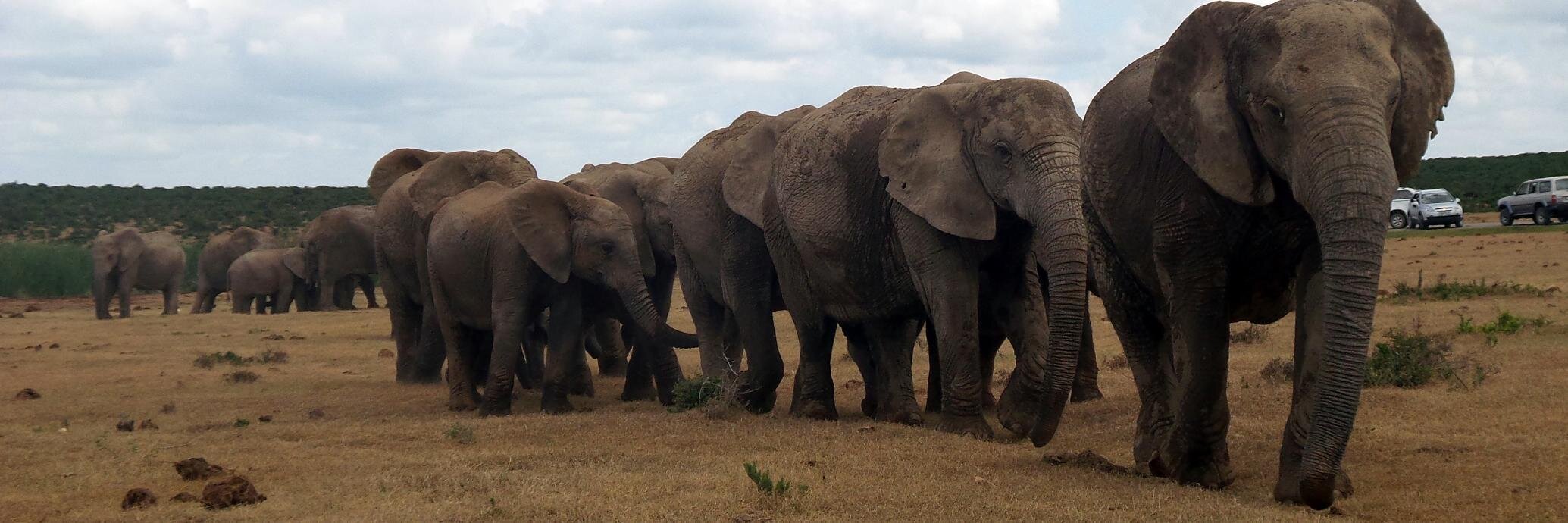 G-Route Adventures banner