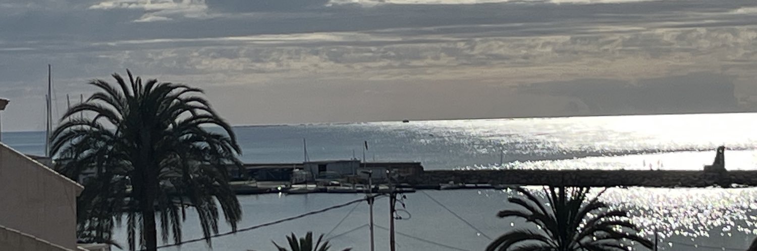 Maribel Sánchez-Mora banner