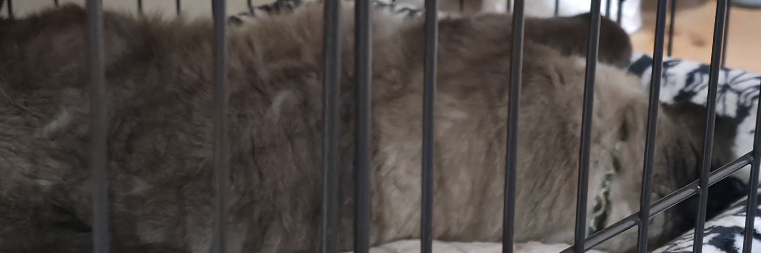 Aquarius&あっくん banner