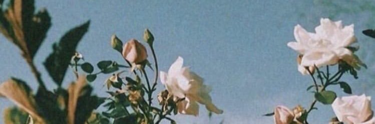 ayunoov's profile banner image