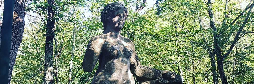 Danielle Rose banner