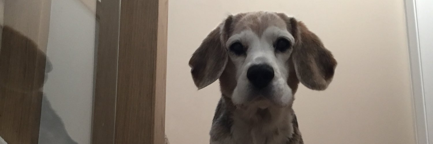 LadyNicW's profile banner image