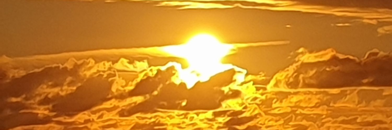 MaryMora2014's profile banner image