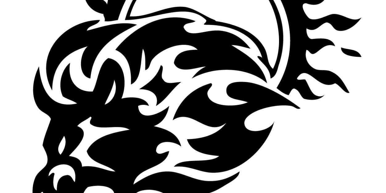 bhanusinham's profile banner image