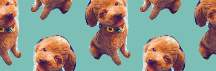 zuessan's profile banner image