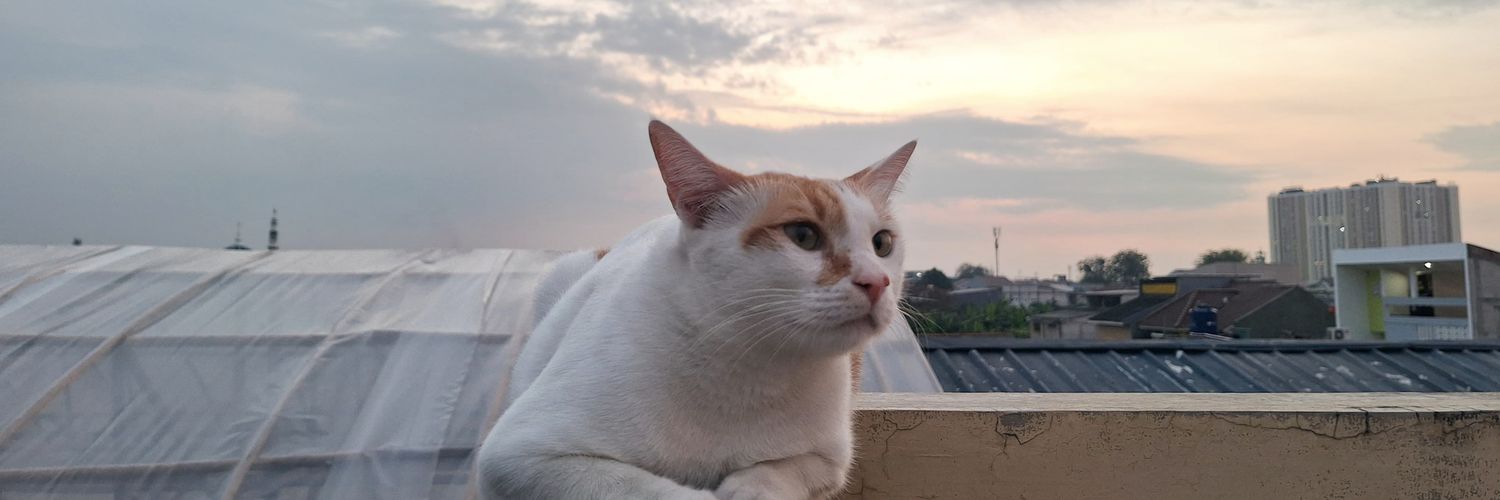 Iyanbro's profile banner image