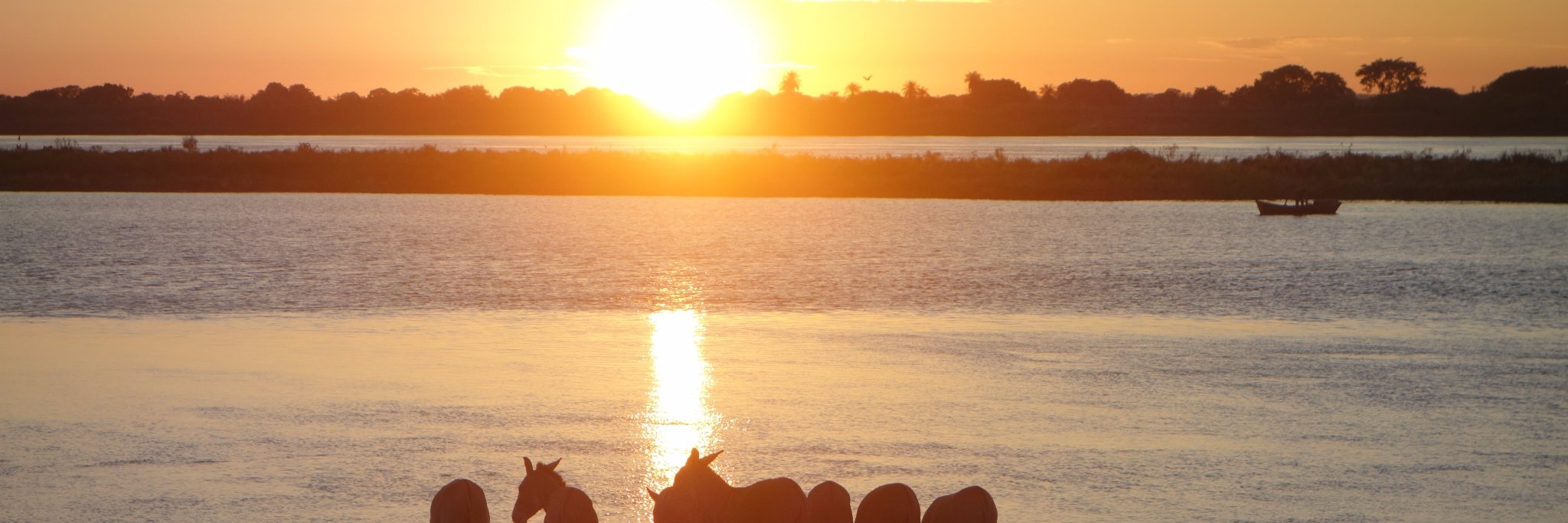 Gee_Bert's profile banner image