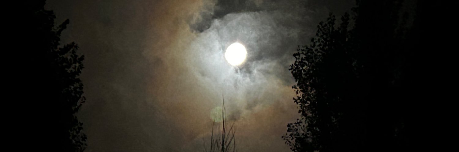 dimacharif's profile banner image