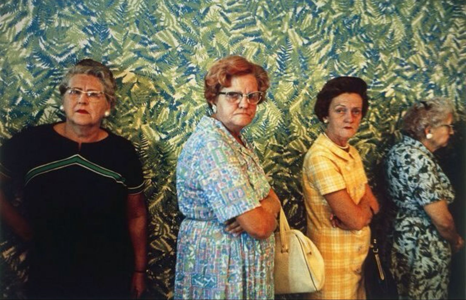 Laura Rohdich banner