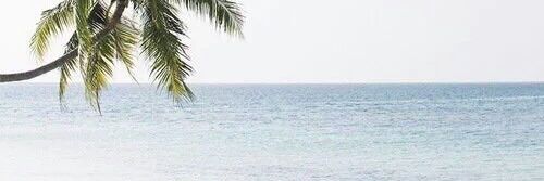 examplelife's profile banner image