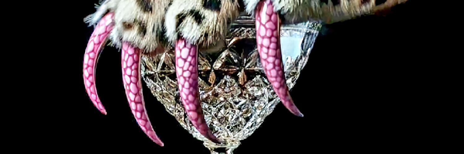 JUSTINA TURULL banner