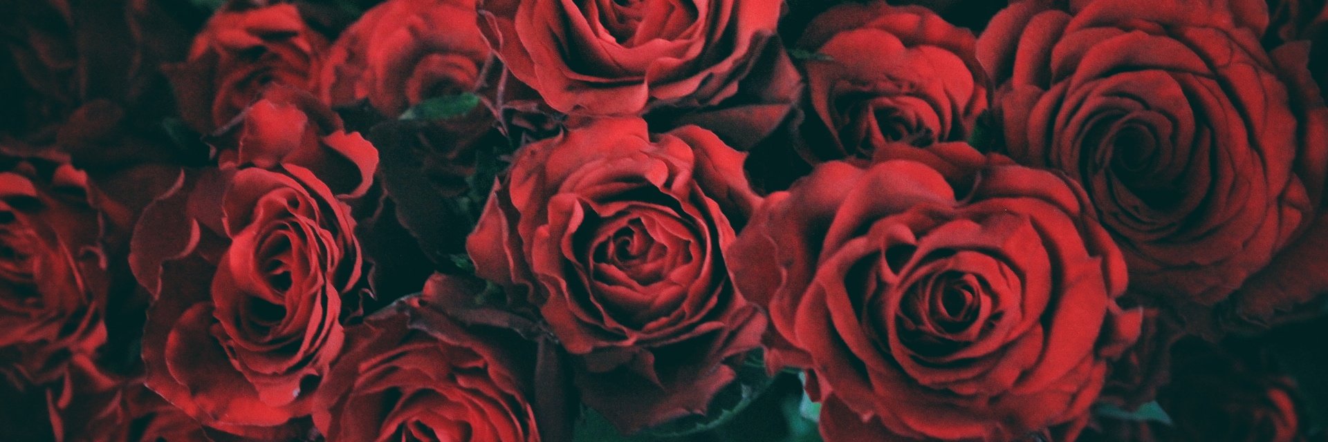 aimerlavieco's profile banner image
