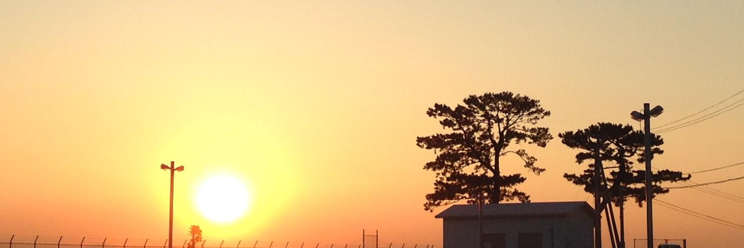rooney_dacha's profile banner image