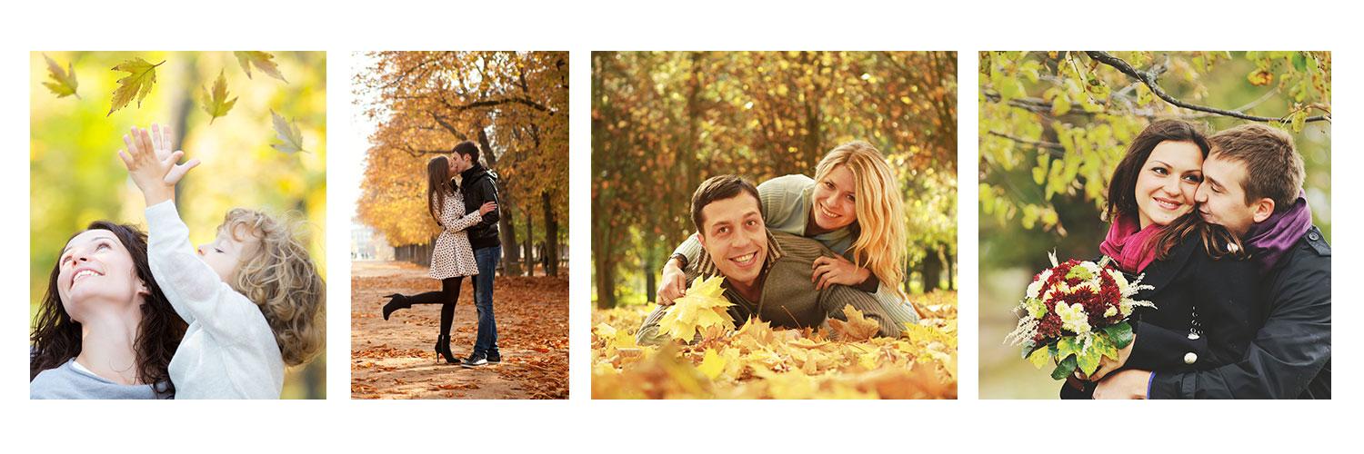 Ferrysavers.co.uk banner