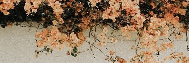 EMn0502's profile banner image