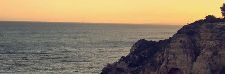abbyyreid_'s profile banner image