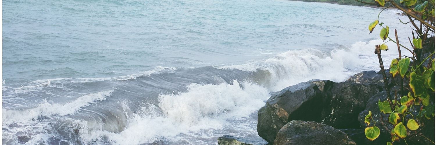 Janewilsom's profile banner image
