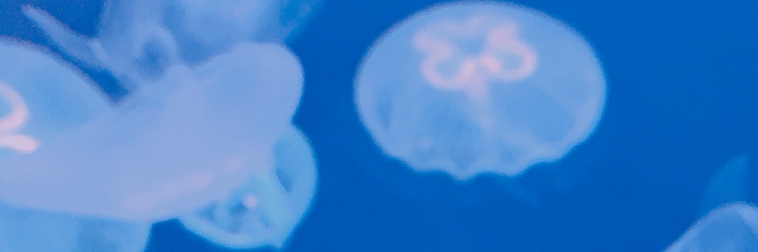 hakoiri_GF's profile banner image