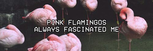 DieegoA's profile banner image