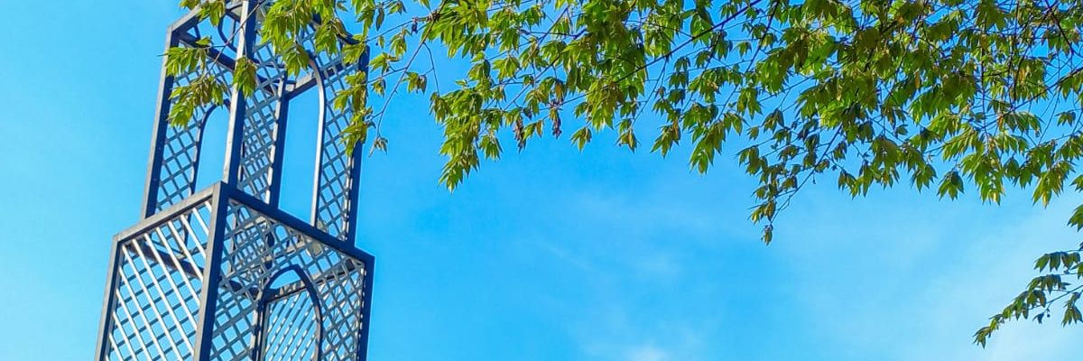 m_wanri's profile banner image