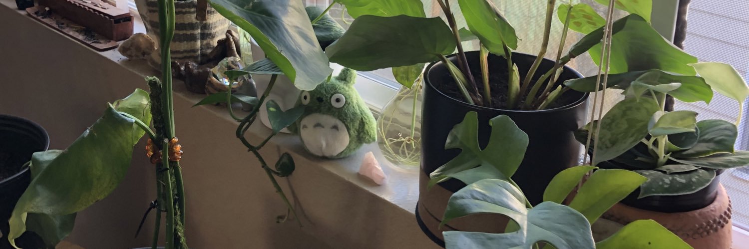 unccleben's profile banner image