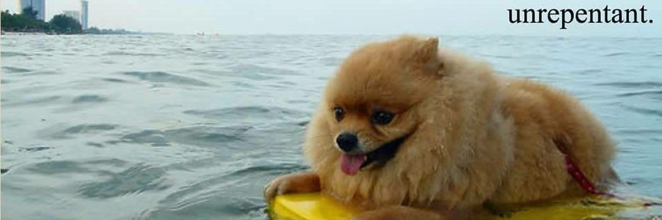 Meekentrin's profile banner image