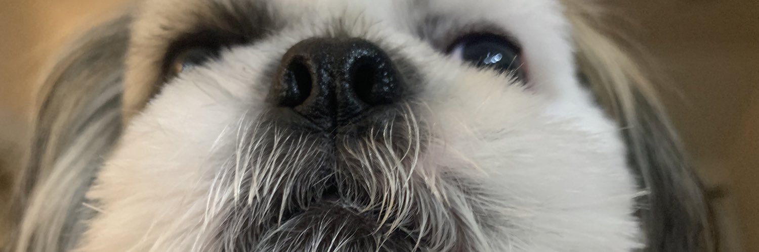 tlobed_n's profile banner image