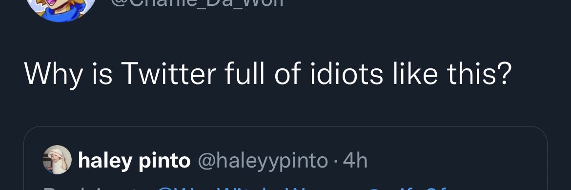 haleyypinto's profile banner image