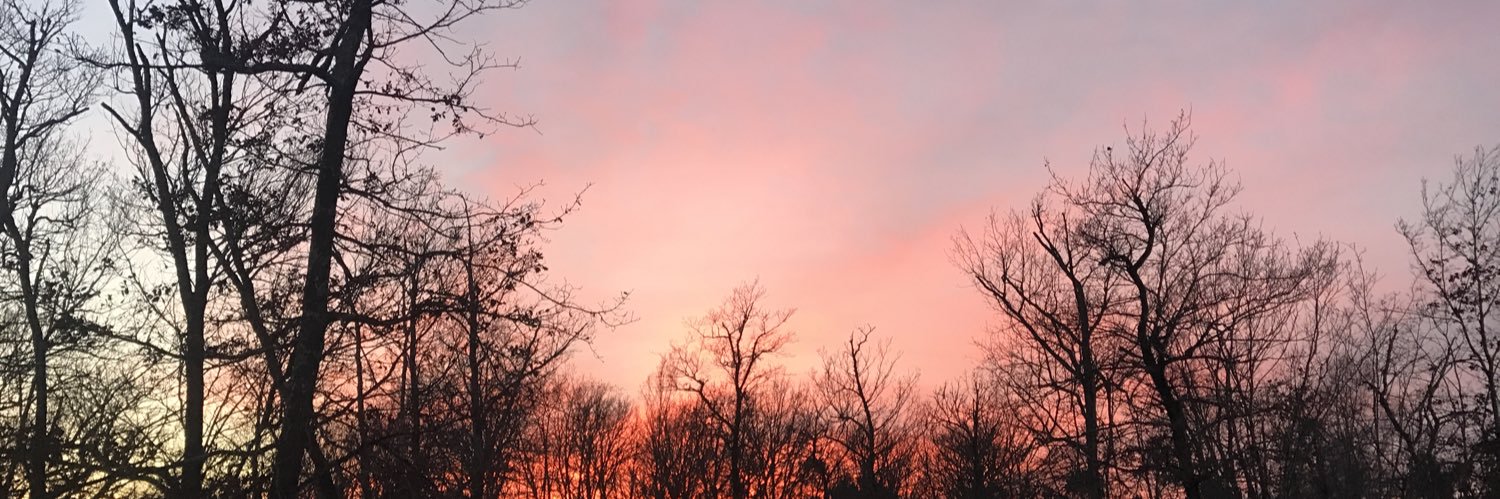 S40La's profile banner image