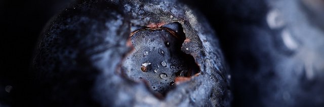 Carmen Medina 📸 banner