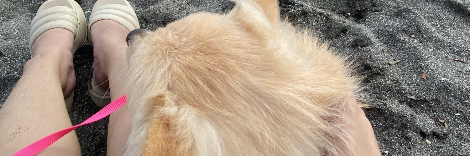 rienaaamd's profile banner image