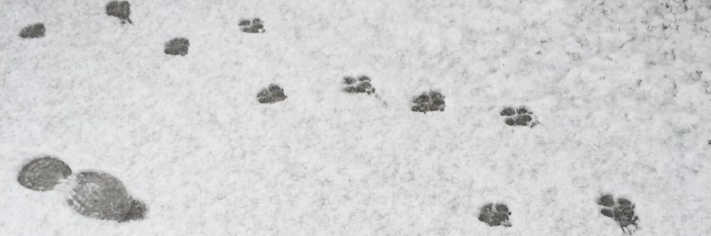 J_W____'s profile banner image