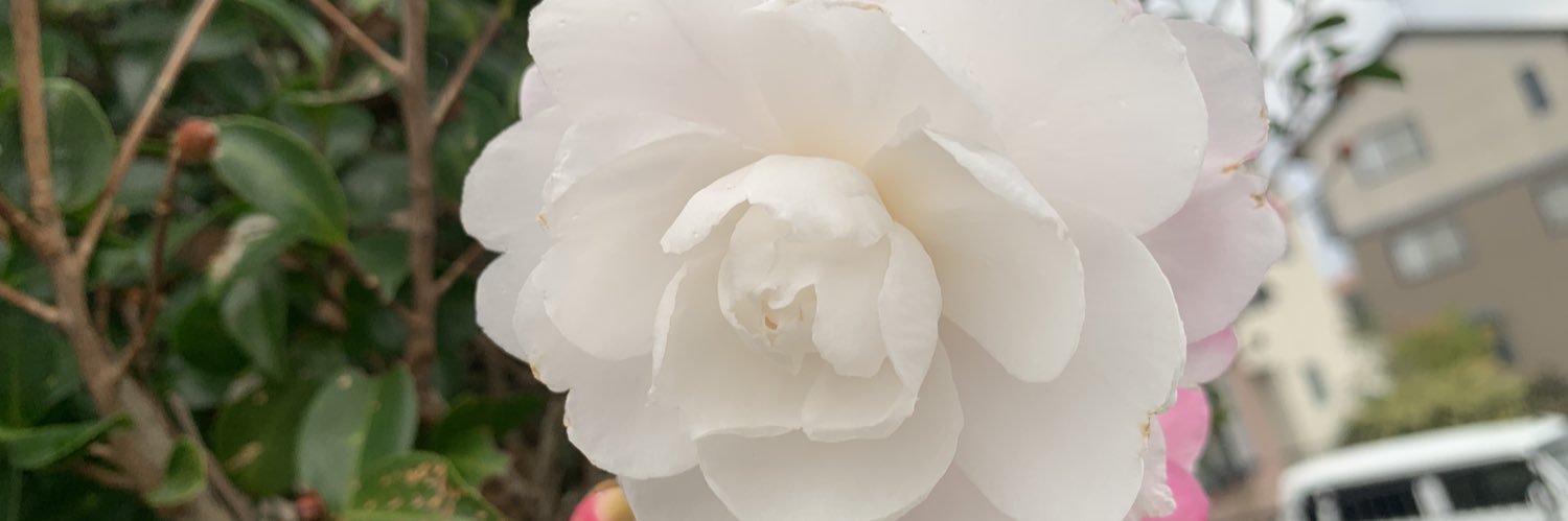 meenasugi's profile banner image