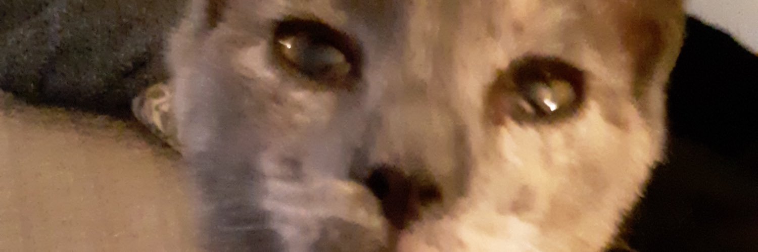 Shardaze's profile banner image