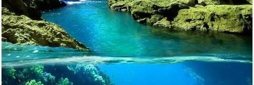 Aloysious Kittengo banner