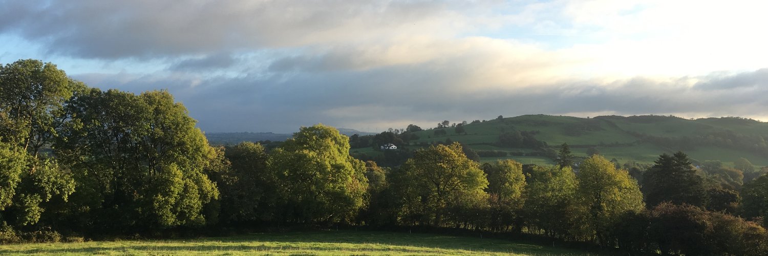 Daphne Shackleton banner