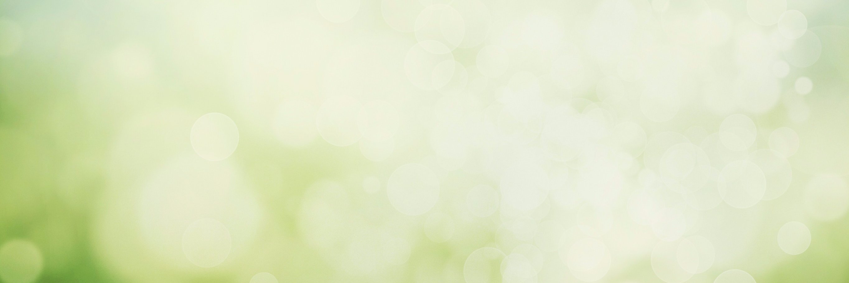 iLIFE banner