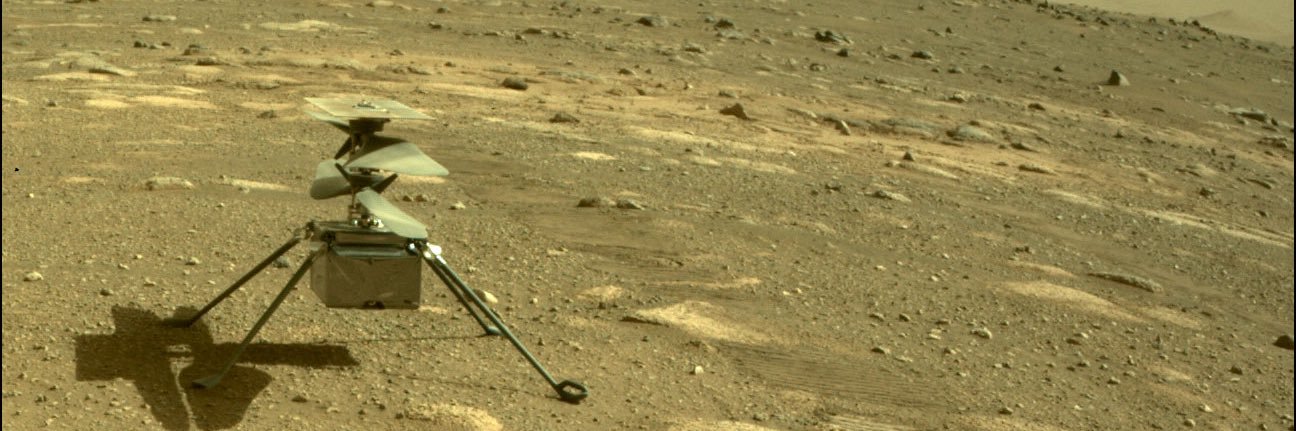 NewtonODea's profile banner image